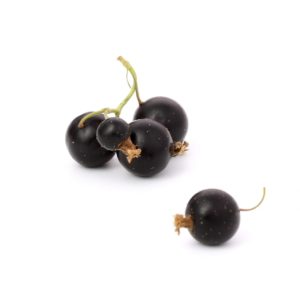 Cassis