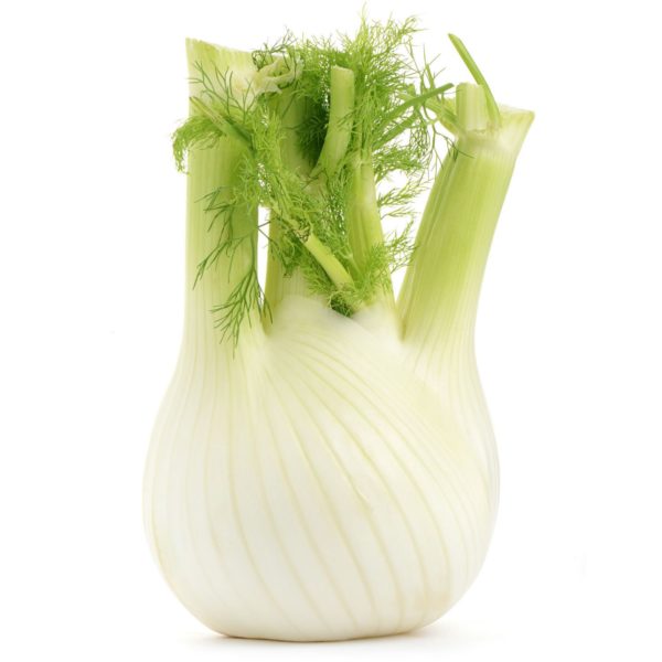 Fenouil