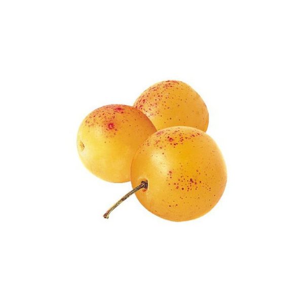 Mirabelle