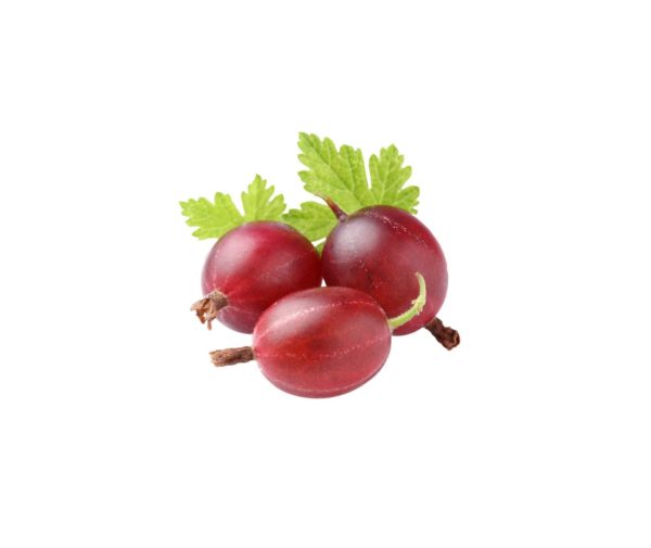 Groseille